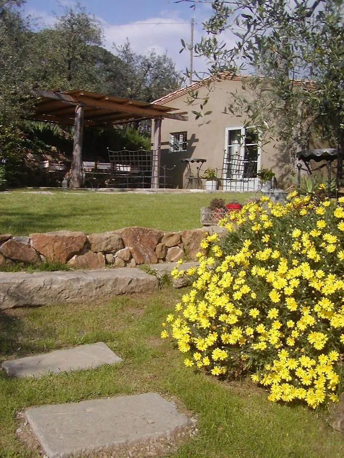 Settignano Tuscany Homes