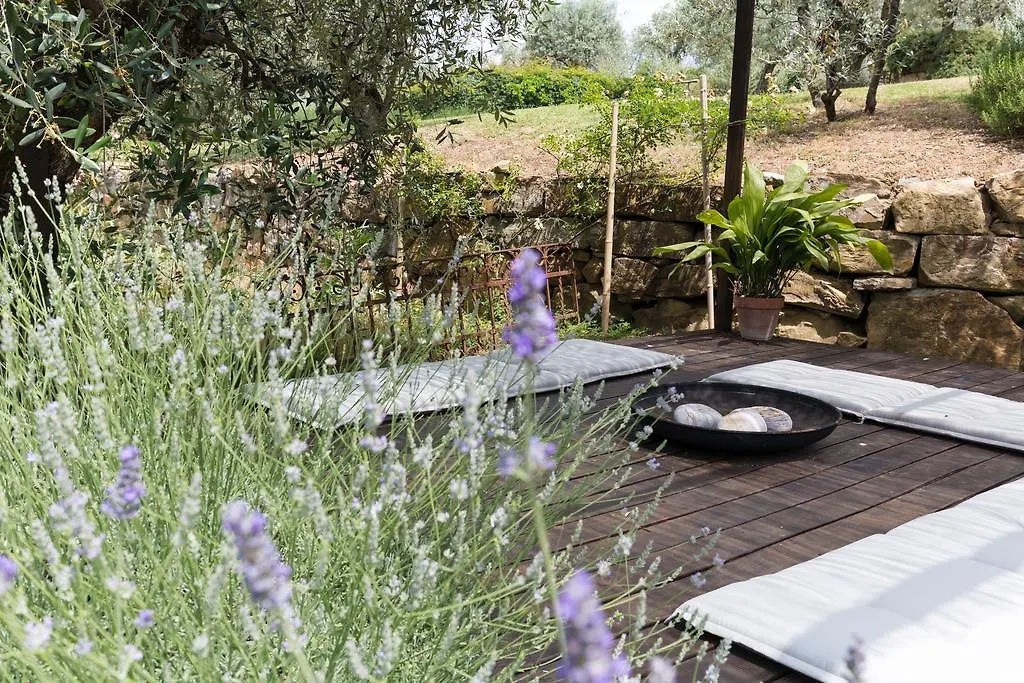 Settignano Tuscany Homes