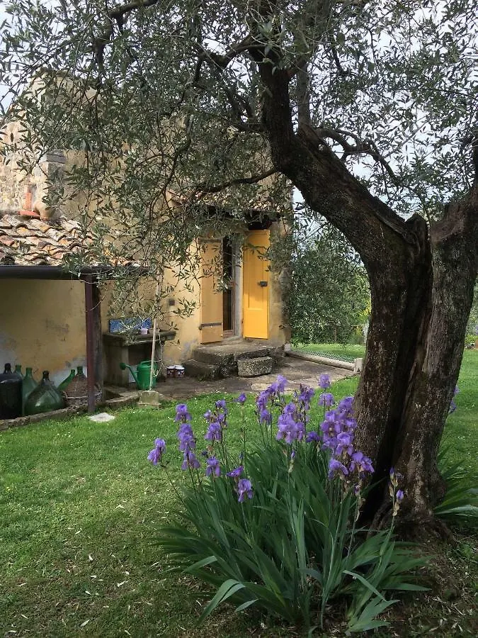 Holiday home Settignano Tuscany Homes